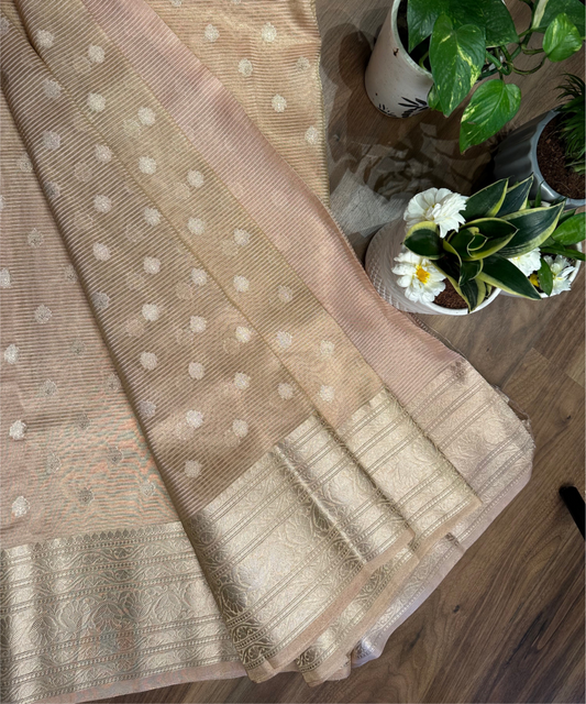 Beige Organza Tissue Saree